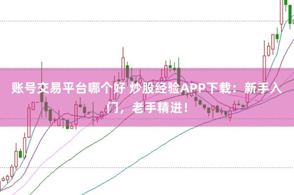 账号交易平台哪个好 炒股经验APP下载：新手入门，老手精进！