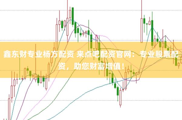 鑫东财专业杨方配资 来点吧配资官网：专业股票配资，助您财富增值！