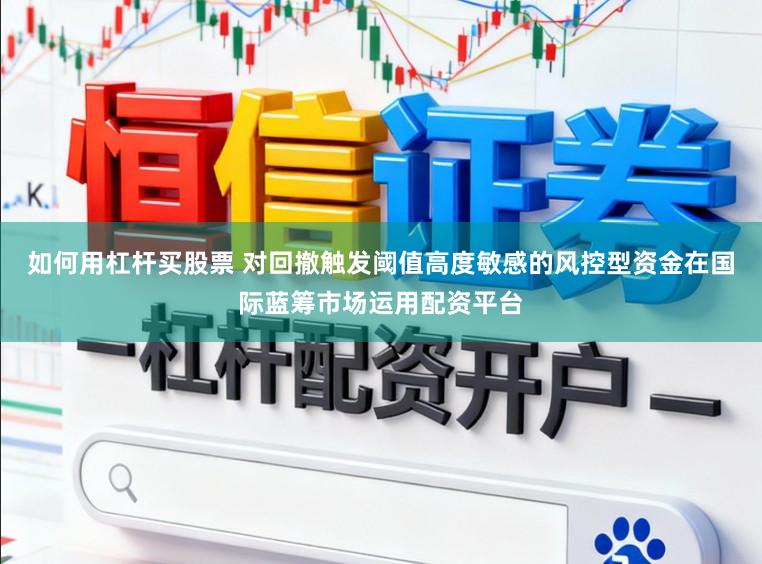 如何用杠杆买股票 对回撤触发阈值高度敏感的风控型资金在国际蓝筹市场运用配资平台